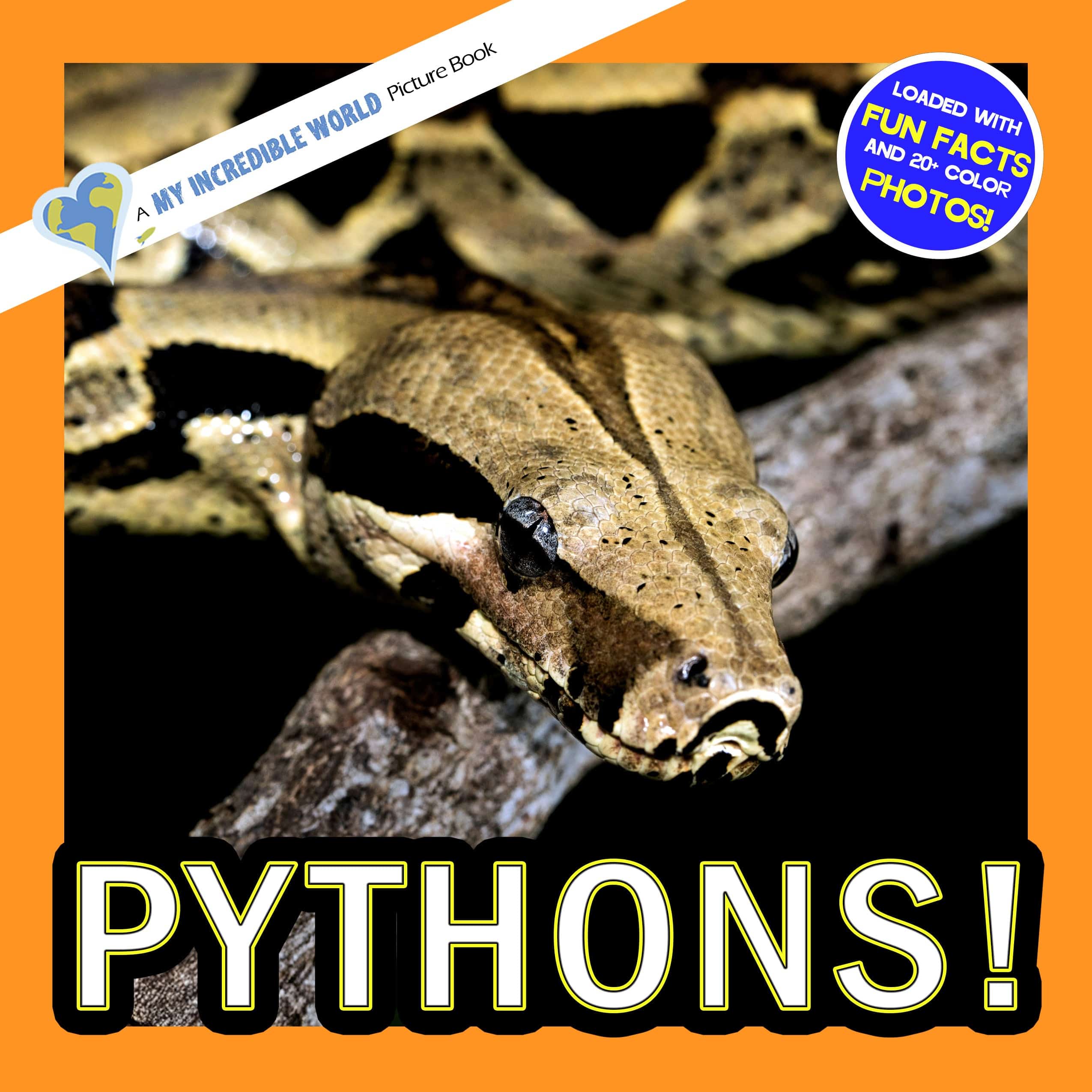 Pythons! A My Incredible World Picture Book for Children
